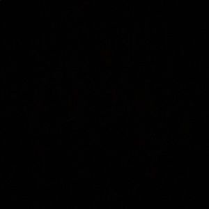 Meet your Posher, Callie